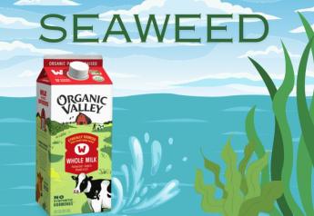 Organic Valley Partners Up on Seaweed Feed