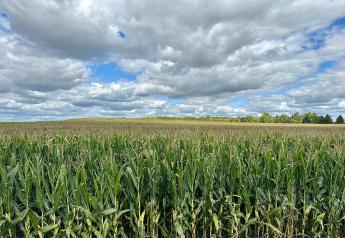 Six Planning Tips to Increase Corn Yield