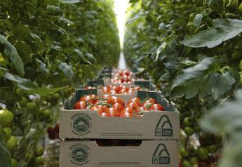 Mastronardi expands its Kentucky greenhouse footprint