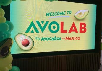 Photos: Avocados From Mexico celebrates AVOLAB innovation center