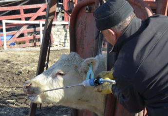 FECR Testing Can Be An Efficient, Cost-Effective Way To Address Parasites