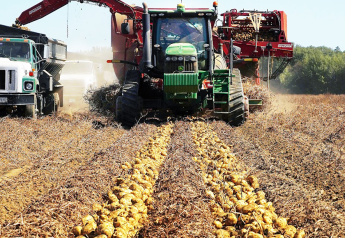 Strong harvest follows rainy start for Maine potatoes
