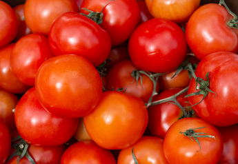 Here's how organic tomato purchases are trending, according to a consumer survey