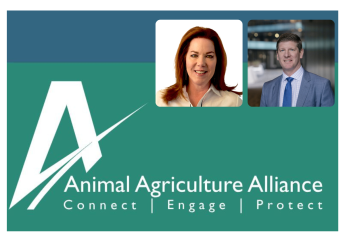 Dairy Management Inc.'s Lisa McComb Appointed Chair-Elect of Animal Agriculture Alliance Board