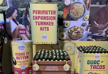 Avocados From Mexico plays to perimeter with ‘intelligent’ merchandising