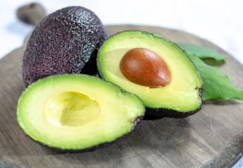 Avocados  The Packer