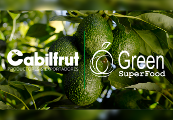 Cabilfrut, Green SuperFood combining efforts in avocado production and marketing