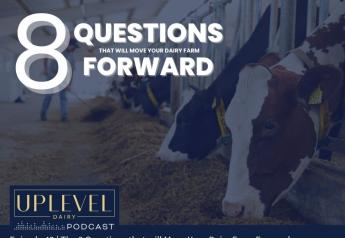 8 Questions to Move Your Dairy Business Forward
