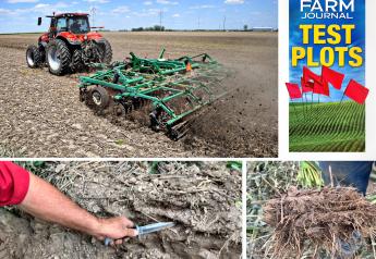 Do You Have Soil Compaction and Density Changes That Impede Roots and Water? Here’s How to Find Out