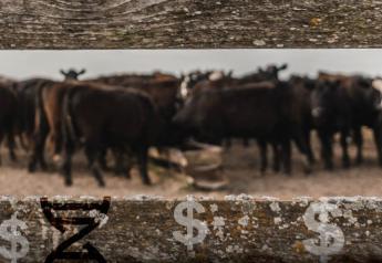 Genetic Merit Pricing: Revolutionizing Feeder Cattle Value