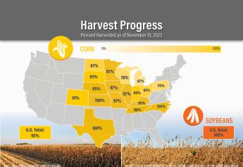 Harvest Update: The Home Stretch for Remaining Corn Acres