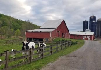 National Dairy FARM Program Announces 2023 Excellence Award Winners