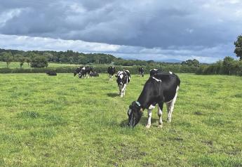 Back to the Future for Dairying in Ireland