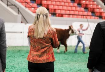 Livestock Judging: Think About This Before You Walk Into the Reasons Room