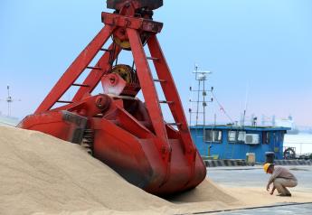 China Makes Largest US Soy Purchases in Months 