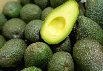 Organic Fresh Trends: Demand for organic avocados continues to rise