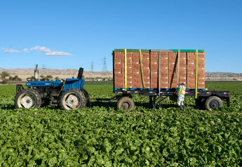 How the winter crop is shaping up for California vegetable growers