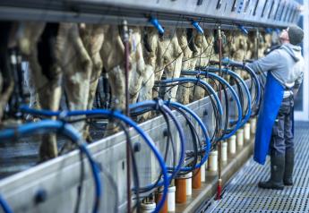 Dairy Producers Face Tightest Margins on Record 