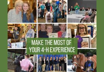 3 Ways to Make the Most of Your 4-H Experience