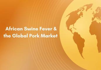 How Has ASF Affected China and the Global Pork Market? 
