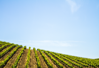 Napa vineyard trials smart irrigation technology