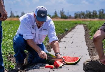 Enza Zaden expands watermelon program