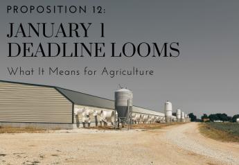 Prop 12’s January 1 Deadline Looms: What It Means for Agriculture