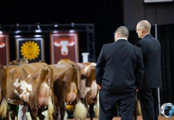 Official Judges for World Dairy Expo 2024 Announced