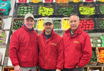 Why these produce distributors expect a strong 2024