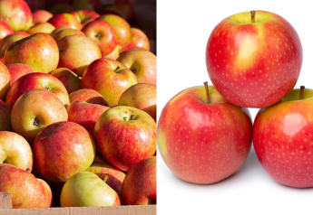 https://cdn.farmjournal.com/s3fs-public/styles/345x238/public/2023-12/apples.png