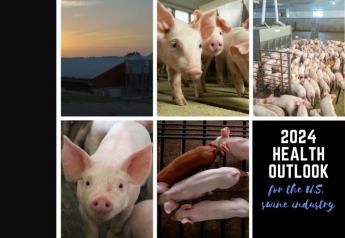 A 2024 Health Outlook for the U.S. Swine Industry