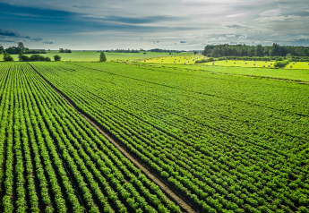 USDA: Foreign farmland ownership is up slightly