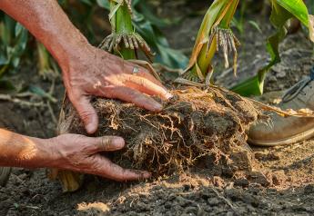 Soil Carbon Enhancing Seed Flowability Agent Enters U.S. Market
