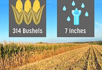 314 Bu. Corn Yield Uses Only 7" of Rain to Score Big Win in Minnesota