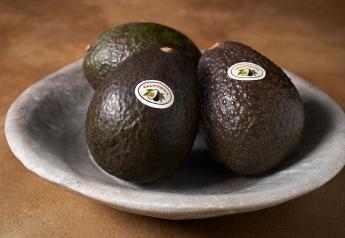CAC forecasts smaller California avocado crop this year