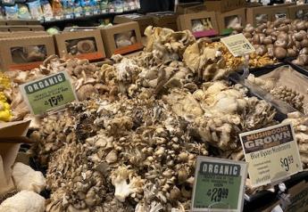 Plenty of room to grow mushroom sales
