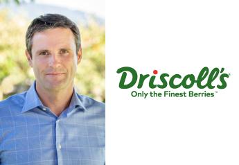 Driscoll’s hires Zespri CEO as president of the Americas