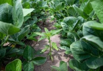 Be on the Lookout for Hidden Yield Threats in 2024