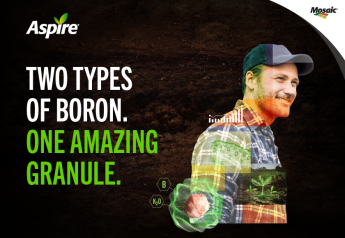 Get your boron in balance now for season-long support with Aspire®