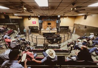 ‘Let me be clear, the Stockyards intends to thrive’