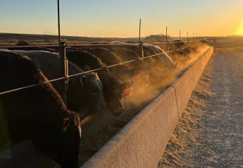 Markets: Cash Cattle Standoff, COF Report Neutral