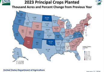 A Snapshot of USDA's Surprising January Report in 10 Charts