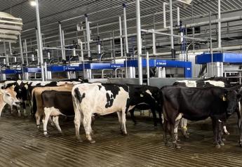 DeLaval Launches New Robotic Batch Milking System for Large Herds