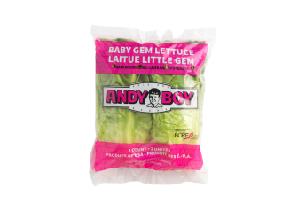 D'Arrigo California introduces baby gem lettuce with Andy Boy label