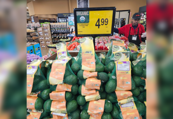 Villita Avocados to offer 100% plastic-free bags to U.S. retailers