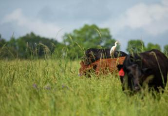Noble Research Institute Brings Regenerative Ranching Course to Southern Texas 
