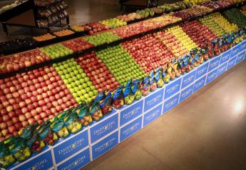 CMI notes strong growth in branded organic apple sales