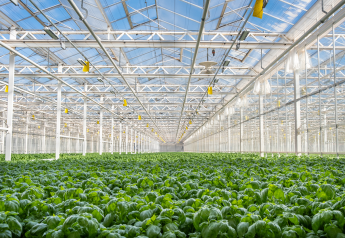 Gotham Greens' newest greenhouse opens in metro Dallas