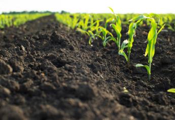 How to get the most value from your fertilizer application