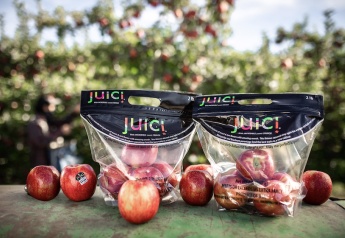 CMI Orchards reports Juici selling season off to a strong start